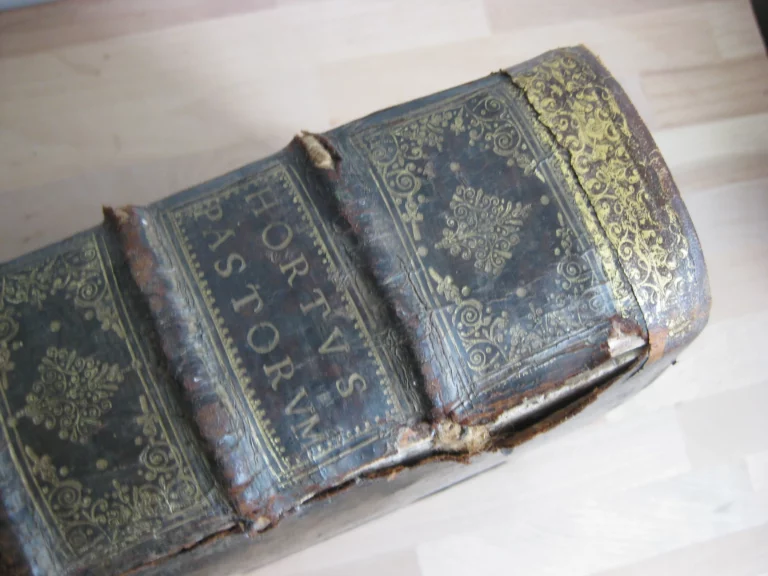 Hortus pastorum Sacrae Doctrinae floribus polymitus
