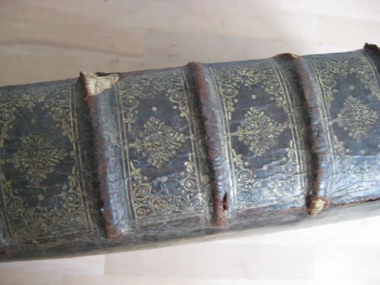 Hortus pastorum Sacrae Doctrinae floribus polymitus