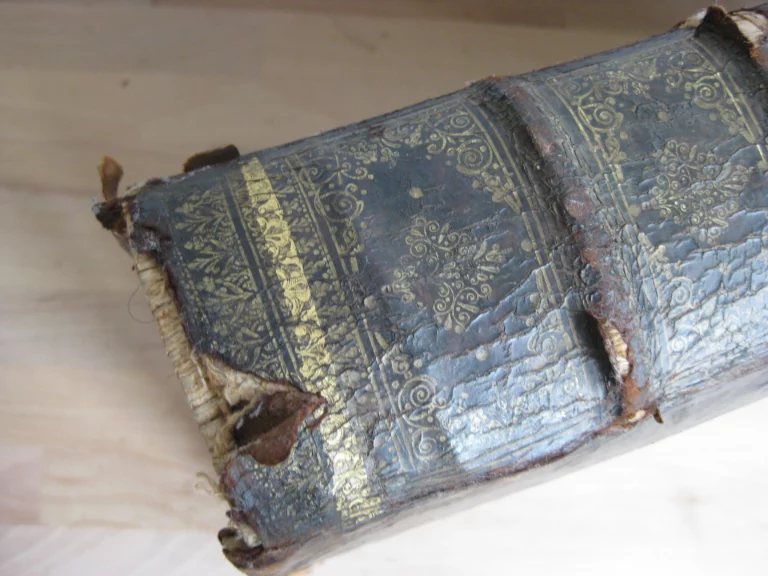 Hortus pastorum Sacrae Doctrinae floribus polymitus