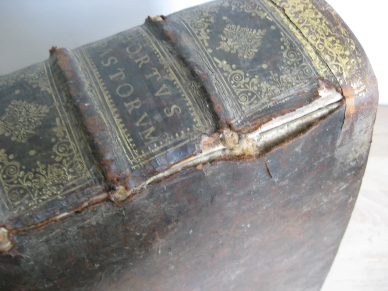 Hortus pastorum Sacrae Doctrinae floribus polymitus