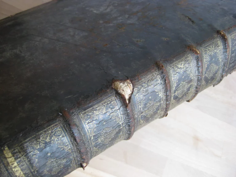 Hortus pastorum Sacrae Doctrinae floribus polymitus