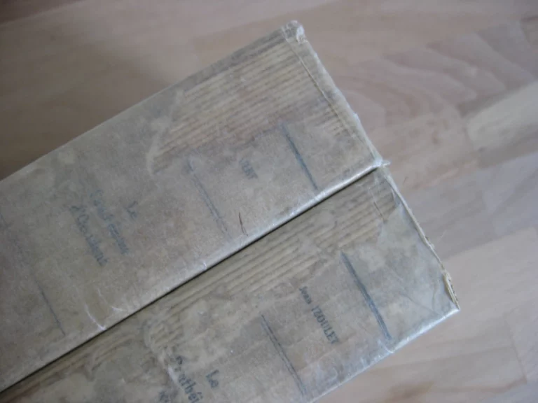 Jean Izoulet. Le Panthéisme d'Occident Jean Izoulet. Le Panthéisme d'Occident