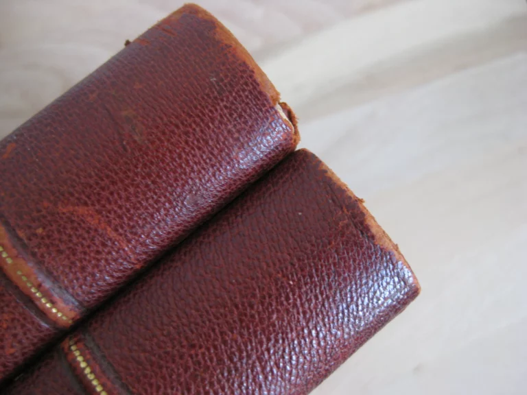 La Dryade. 1ère année 1903. Complète. N°1 à 24 La Dryade. 1ère année 1903. Complète. N°1 à 24