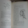 La Dryade. 1ère année 1903. Complète. N°1 à 24 La Dryade. 1ère année 1903. Complète. N°1 à 24