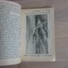 Le double Almanach Mathieu / Le triple Almanach Mathieu (de la Drôme), 2 vols.