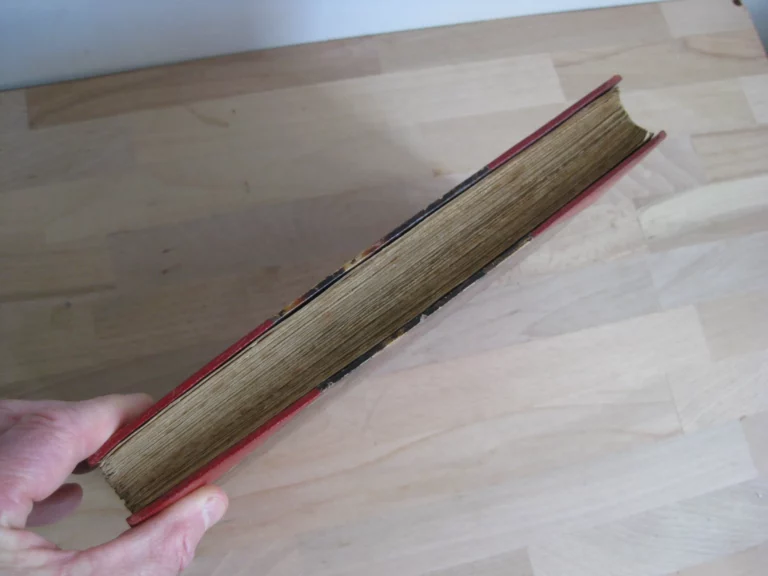 Le Livre des têtes de bois - Saint-Juirs (René Delorme, dit) - Signé