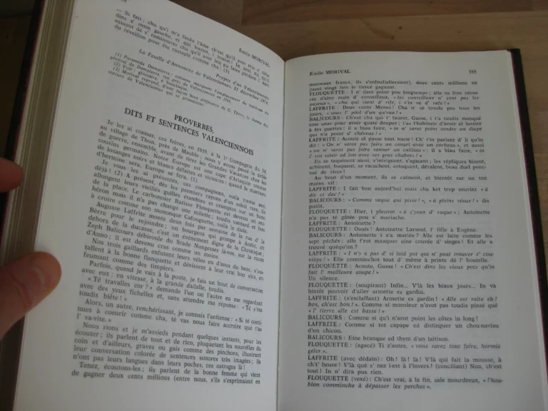 Le Livre du rouchi, parler picard de Valenciennes, Jean Dauby