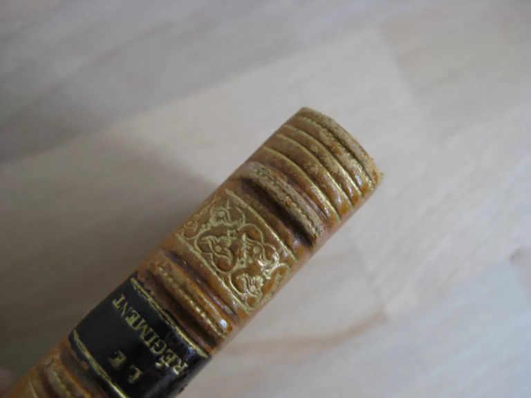 Le régiment - Georges d’Esparbès / Calbet (ill.) Le régiment - Georges d’Esparbès / Calbet (ill.)