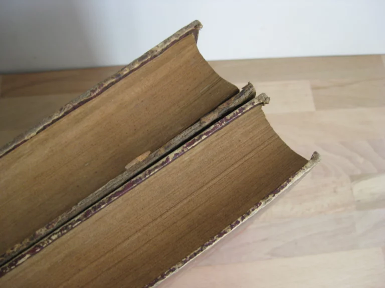 Les Nouvelles conquêtes de la science, 2 volumes, complet Les Nouvelles conquêtes de la science, 2 volumes, complet