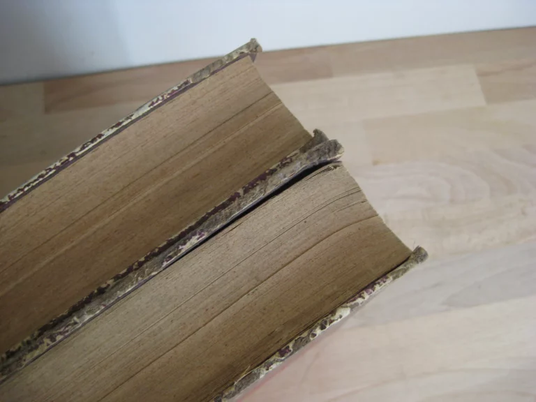 Les Nouvelles conquêtes de la science, 2 volumes, complet Les Nouvelles conquêtes de la science, 2 volumes, complet