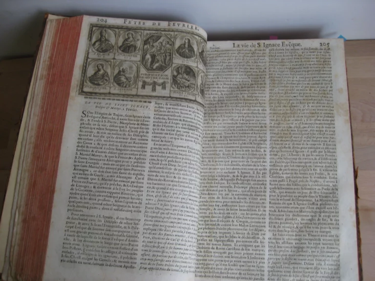 Les Nouvelles fleurs des vies des saints, et fêtes de l’année Les Nouvelles fleurs des vies des saints, et fêtes de l’année