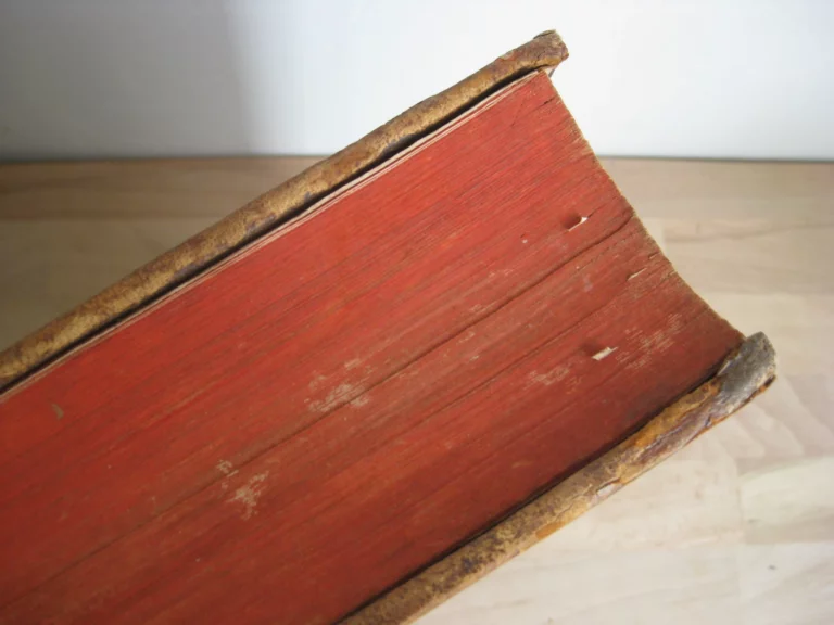 Les Nouvelles fleurs des vies des saints, et fêtes de l’année Les Nouvelles fleurs des vies des saints, et fêtes de l’année