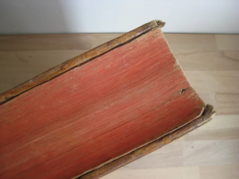 Les Nouvelles fleurs des vies des saints, et fêtes de l’année Les Nouvelles fleurs des vies des saints, et fêtes de l’année