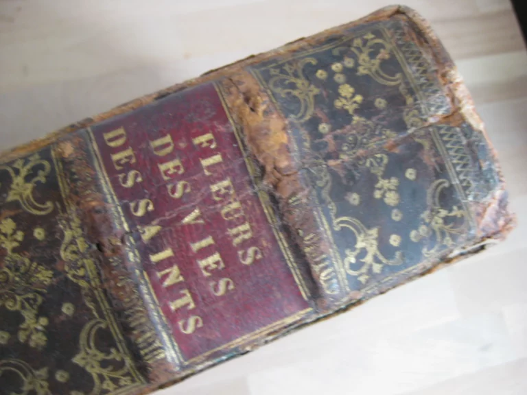 Les Nouvelles fleurs des vies des saints, et fêtes de l’année Les Nouvelles fleurs des vies des saints, et fêtes de l’année