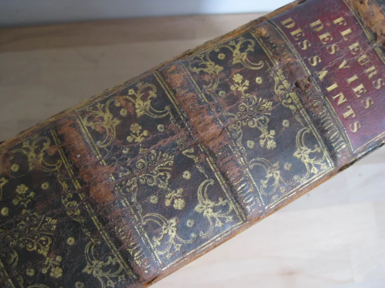 Les Nouvelles fleurs des vies des saints, et fêtes de l’année Les Nouvelles fleurs des vies des saints, et fêtes de l’année