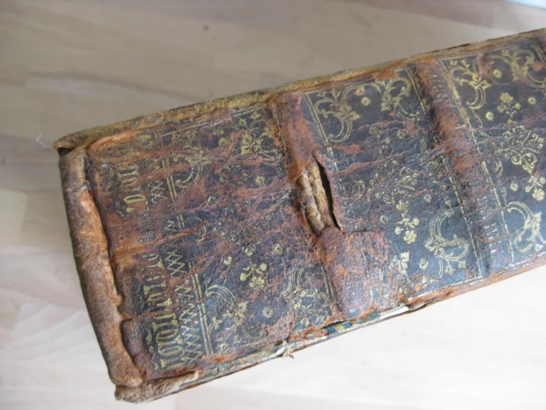 Les Nouvelles fleurs des vies des saints, et fêtes de l’année Les Nouvelles fleurs des vies des saints, et fêtes de l’année