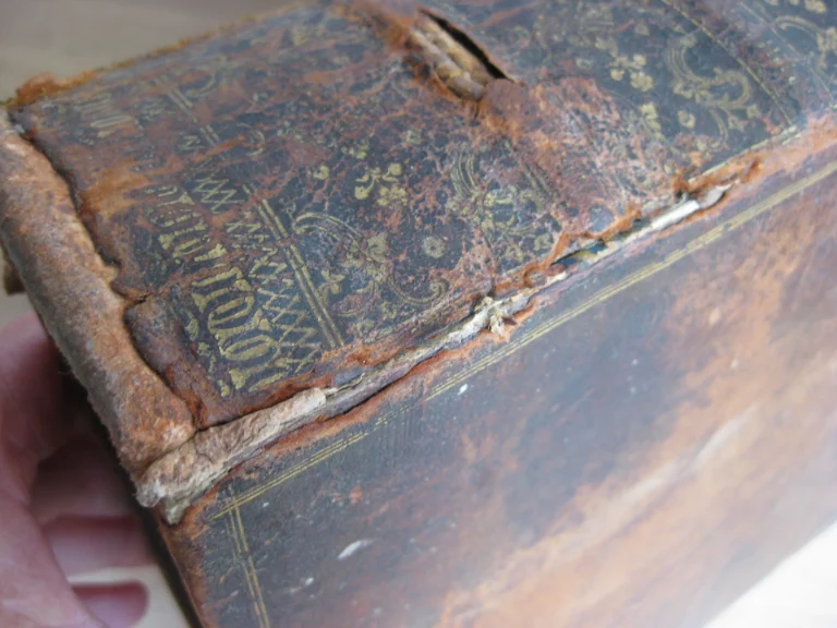 Les Nouvelles fleurs des vies des saints, et fêtes de l’année Les Nouvelles fleurs des vies des saints, et fêtes de l’année