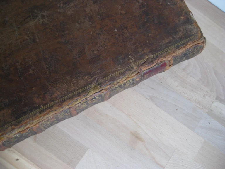 Les Nouvelles fleurs des vies des saints, et fêtes de l’année Les Nouvelles fleurs des vies des saints, et fêtes de l’année