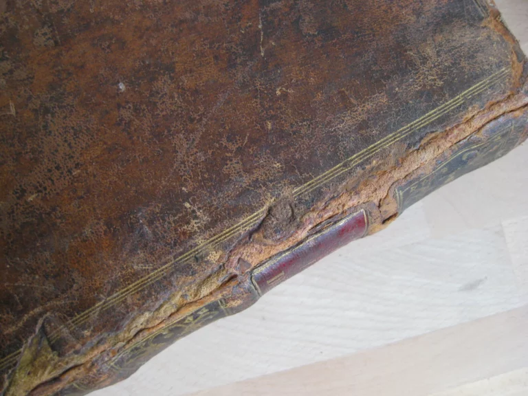 Les Nouvelles fleurs des vies des saints, et fêtes de l’année Les Nouvelles fleurs des vies des saints, et fêtes de l’année