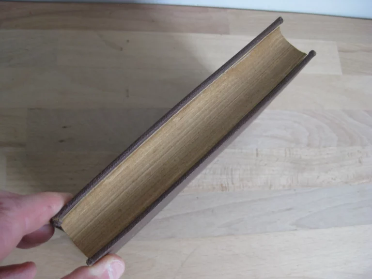 Les souverains en pantoufles - Henri Nicolle Les souverains en pantoufles - Henri Nicolle