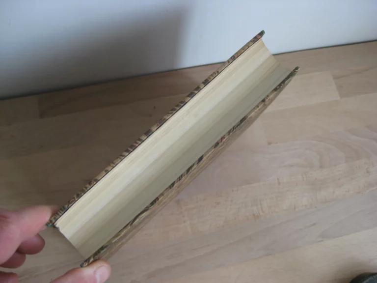 L’Inde antique et la civilisation indienne L’Inde antique et la civilisation indienne