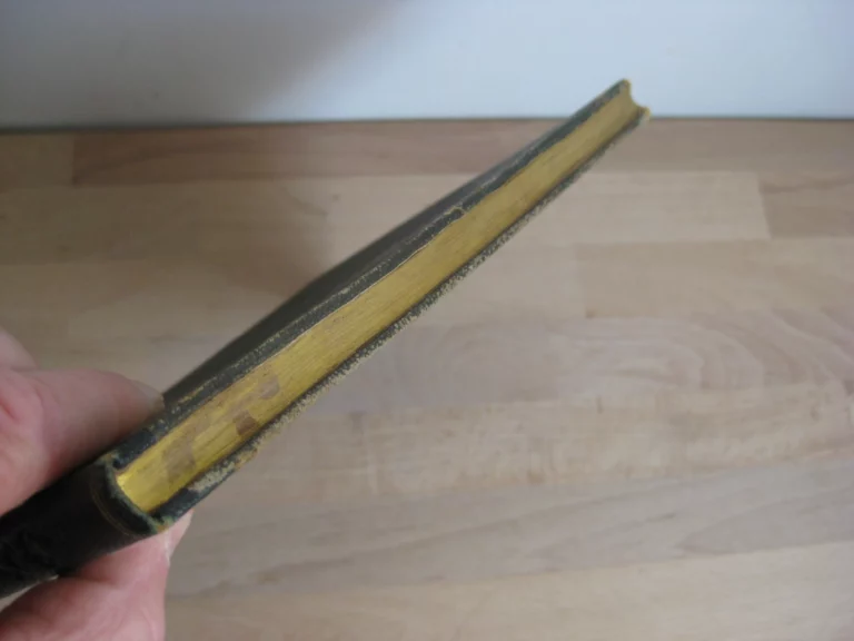 Melle Fanny Bohineux - Manuscrit - Sciences, littérature, économie - 1830