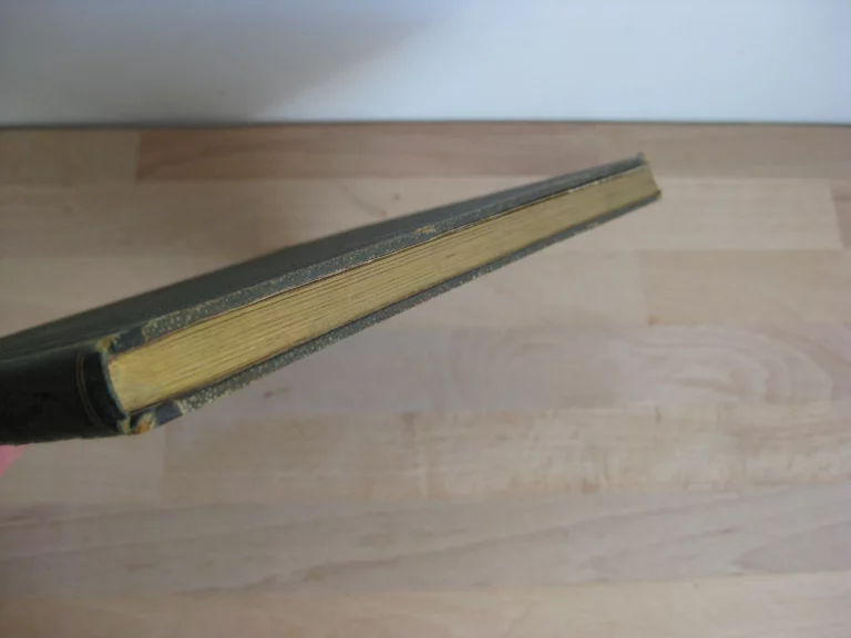 Melle Fanny Bohineux - Manuscrit - Sciences, littérature, économie - 1830