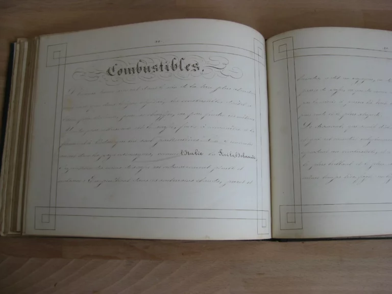 Melle Fanny Bohineux - Manuscrit - Sciences, littérature, économie - 1830