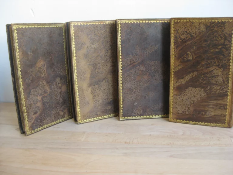 Peveril of the Peak, 4 tomes.  Sir Walter Scott