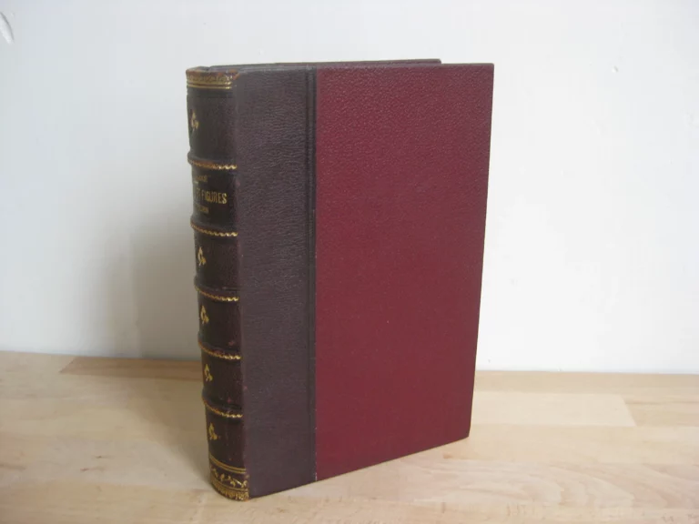 Questions et figures politiques, Raymond Poincaré