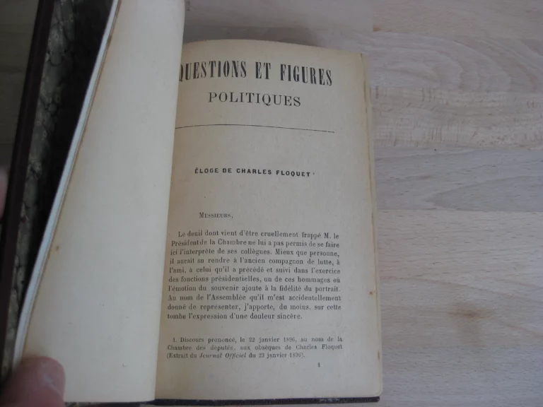 Questions et figures politiques, Raymond Poincaré