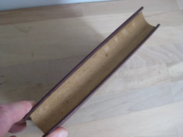 Questions et figures politiques, Raymond Poincaré