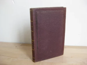 Scènes de la vie juive en Alsace - Daniel Stauben [Charles Auguste Widal]