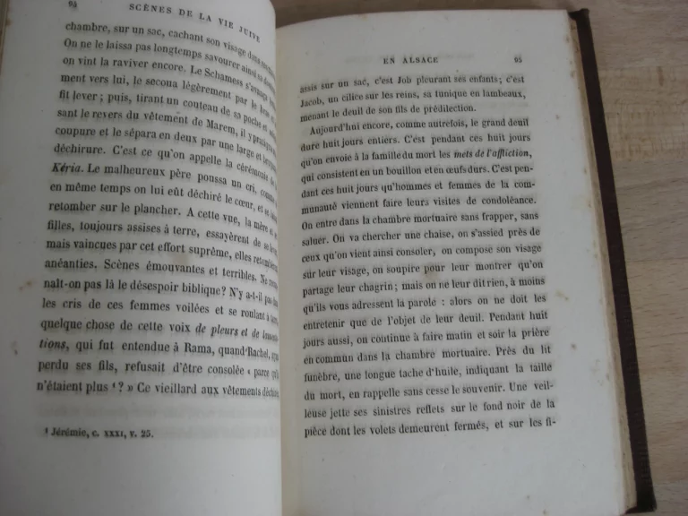 Scènes de la vie juive en Alsace - Daniel Stauben [Charles Auguste Widal]