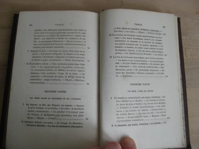 Scènes de la vie juive en Alsace - Daniel Stauben [Charles Auguste Widal]