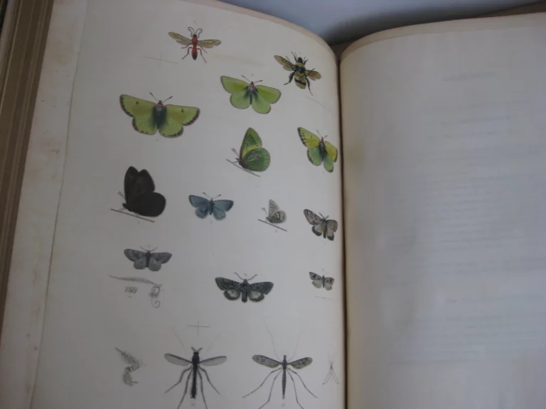 Appendix to the Narrative of a Second Voyage in Search of a North-West Passage Appendix to the Narrative of a Second Voyage in Search of a North-West Passage