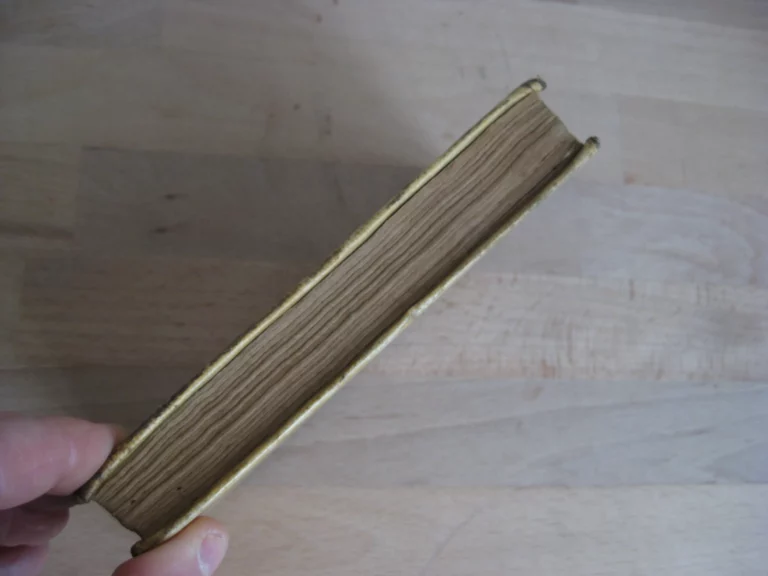 Brevis Expositio propositionum damnatarum - Duarte ab Aragonia Ord. Min Brevis Expositio propositionum damnatarum - Duarte ab Aragonia Ord. Min