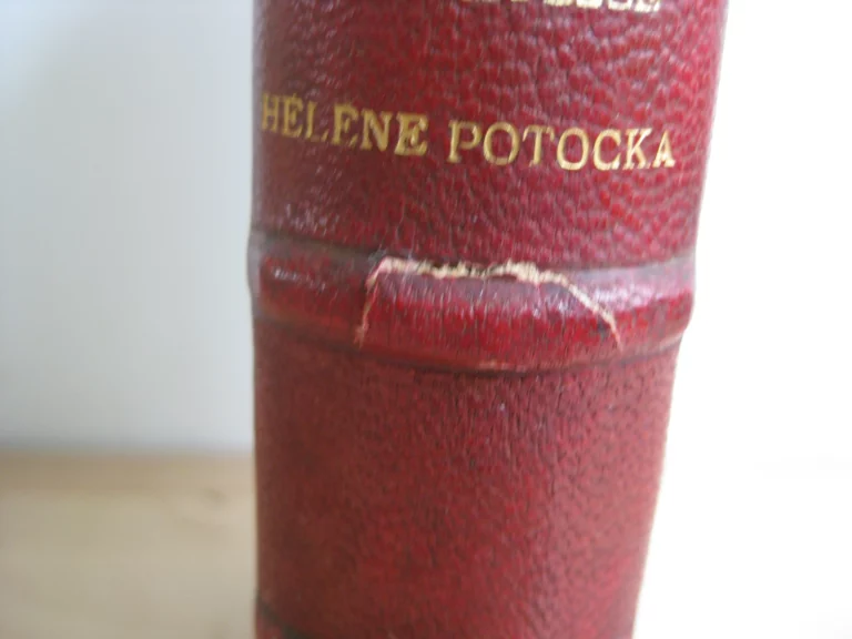 Histoire d’une grande dame du XVIIIè siècle. La Comtesse Hélène Potocka