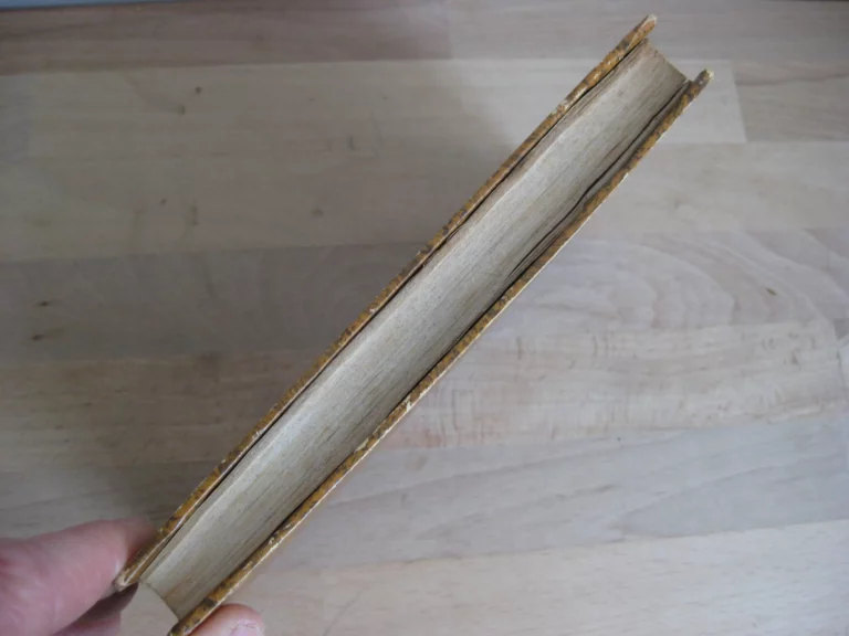 La vie de Maximilien Robespierre La vie de Maximilien Robespierre