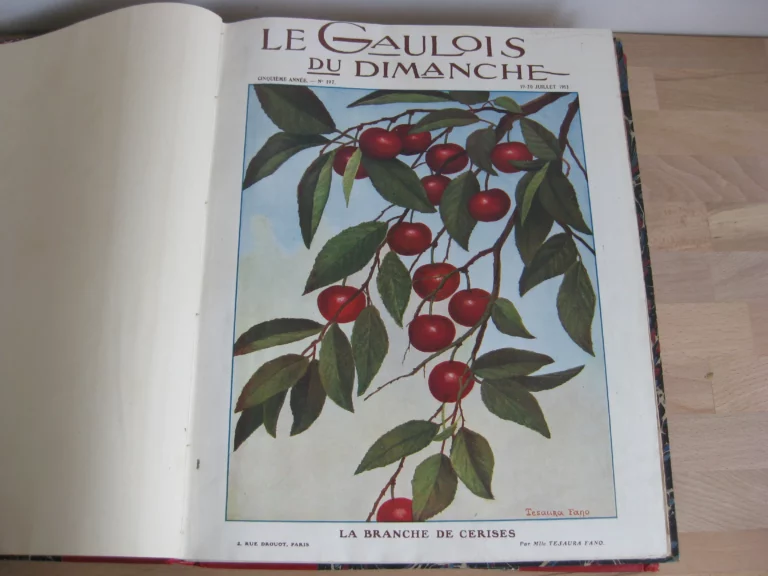 Le Gaulois du dimanche, 2 volumes - 1910-1913 Le Gaulois du dimanche, 2 volumes - 1910-1913