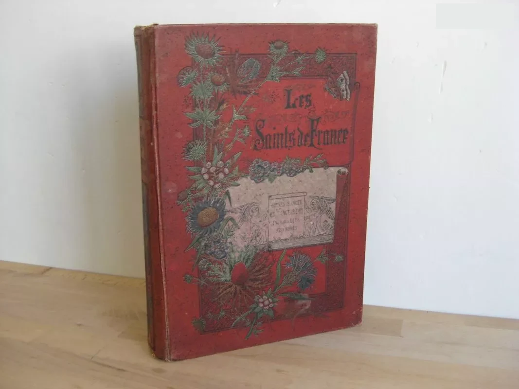Les Saints de France du treizième au dix-neuvième siècle
