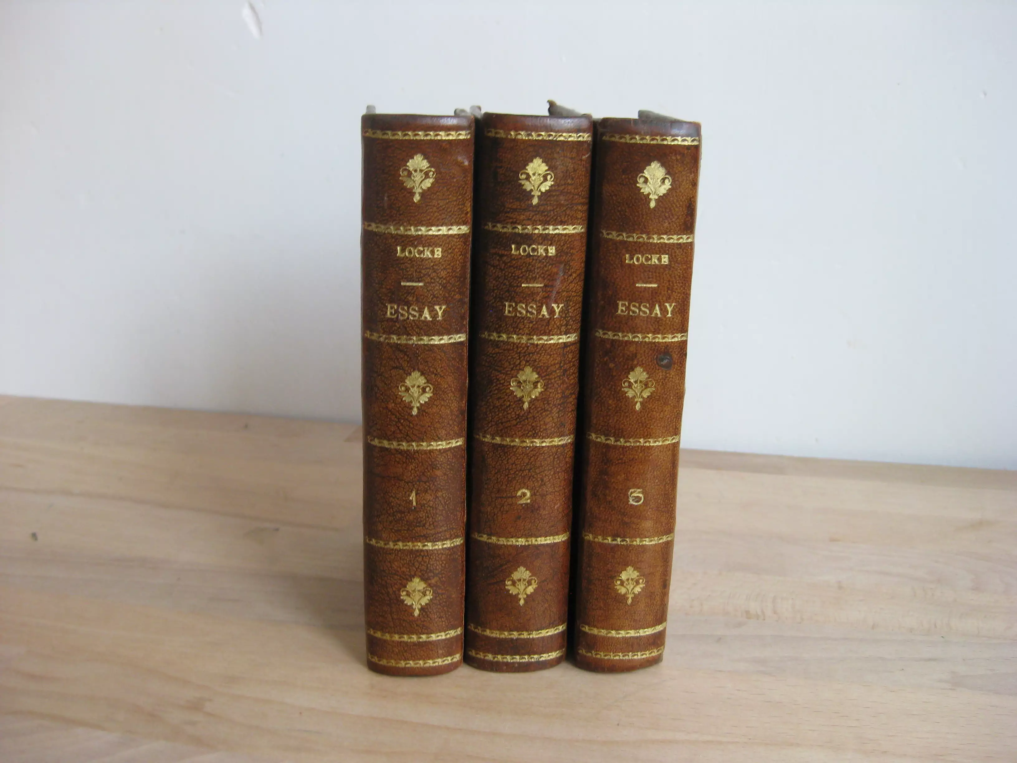 An Essay Concerning Human Understanding