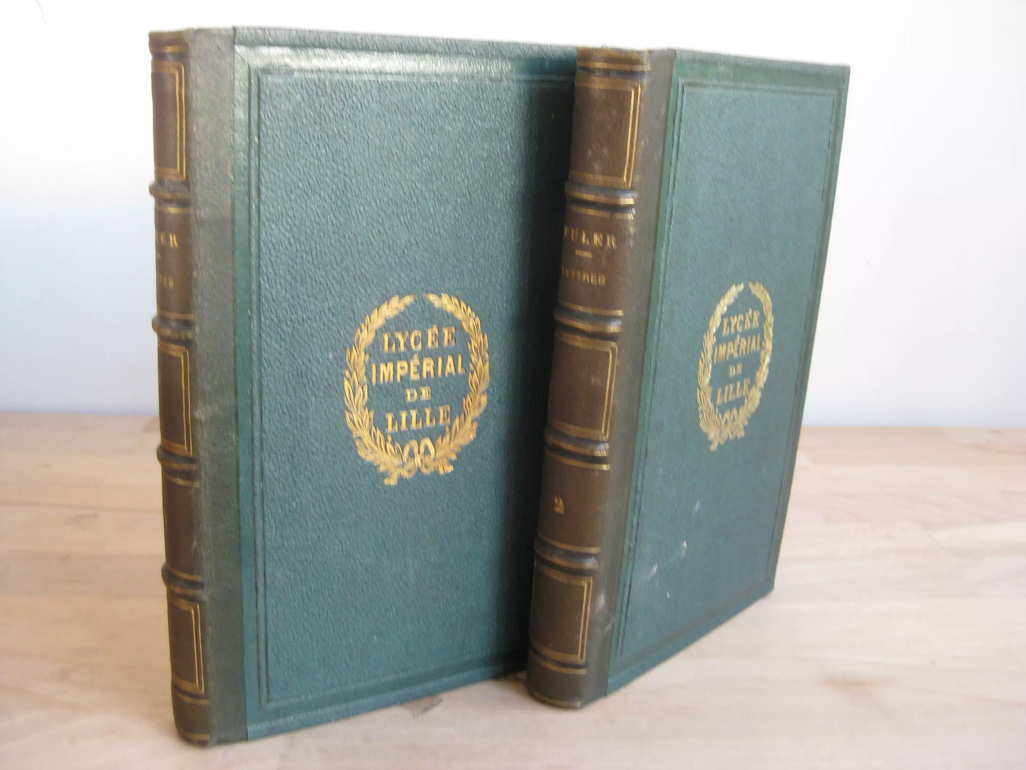 Lettres d'Euler à une princesse d'Allemagne