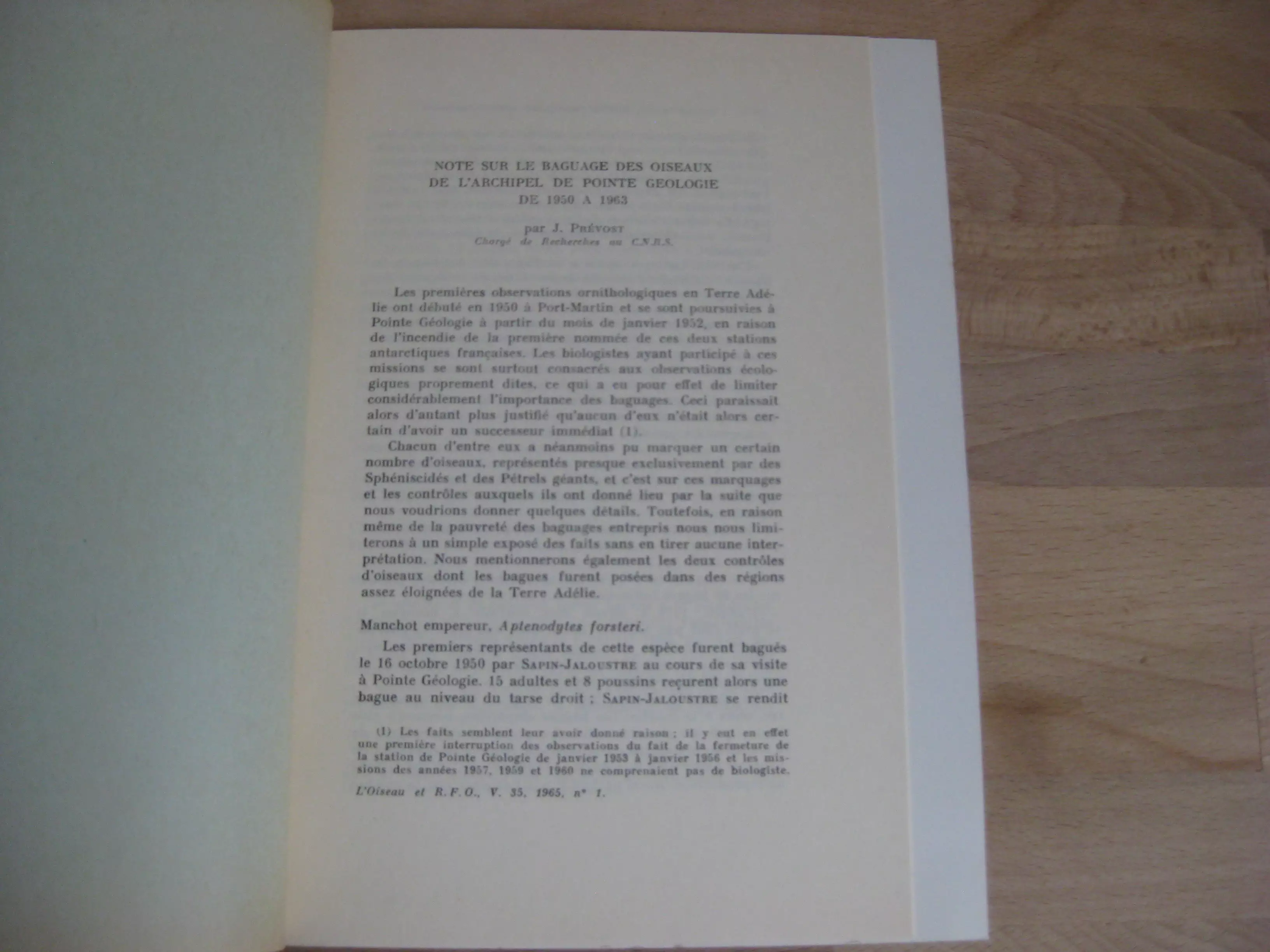 Note sur le baguage des oiseaux de l’archipel de Pointe Géologie