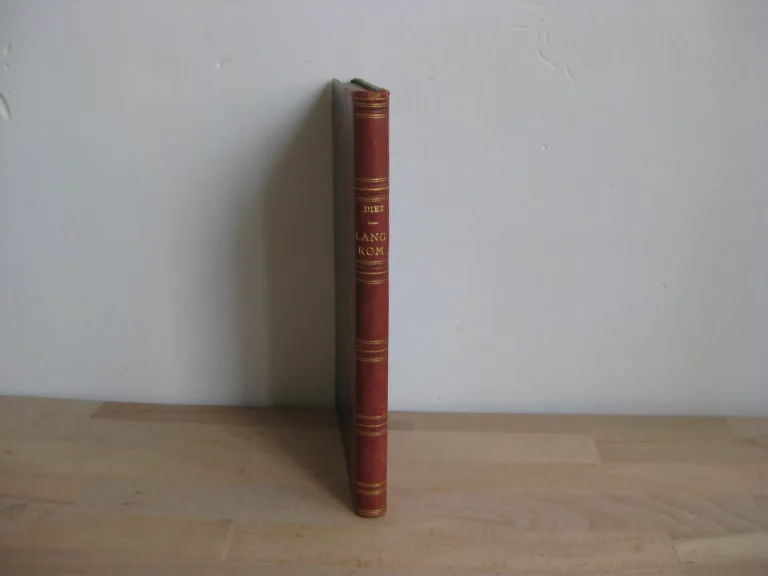 Introduction à la grammaire des langues romanes Introduction à la grammaire des langues romanes