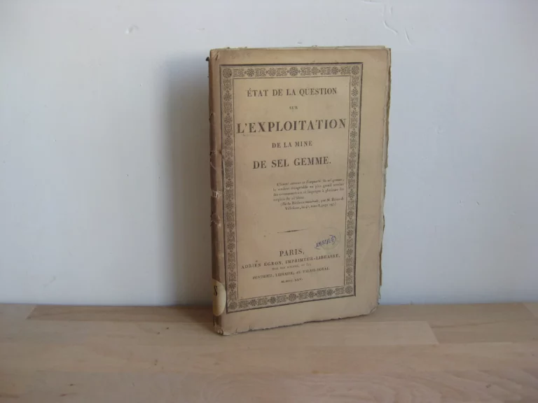 État de la question sur l’exploitation de la mine de sel Gemme