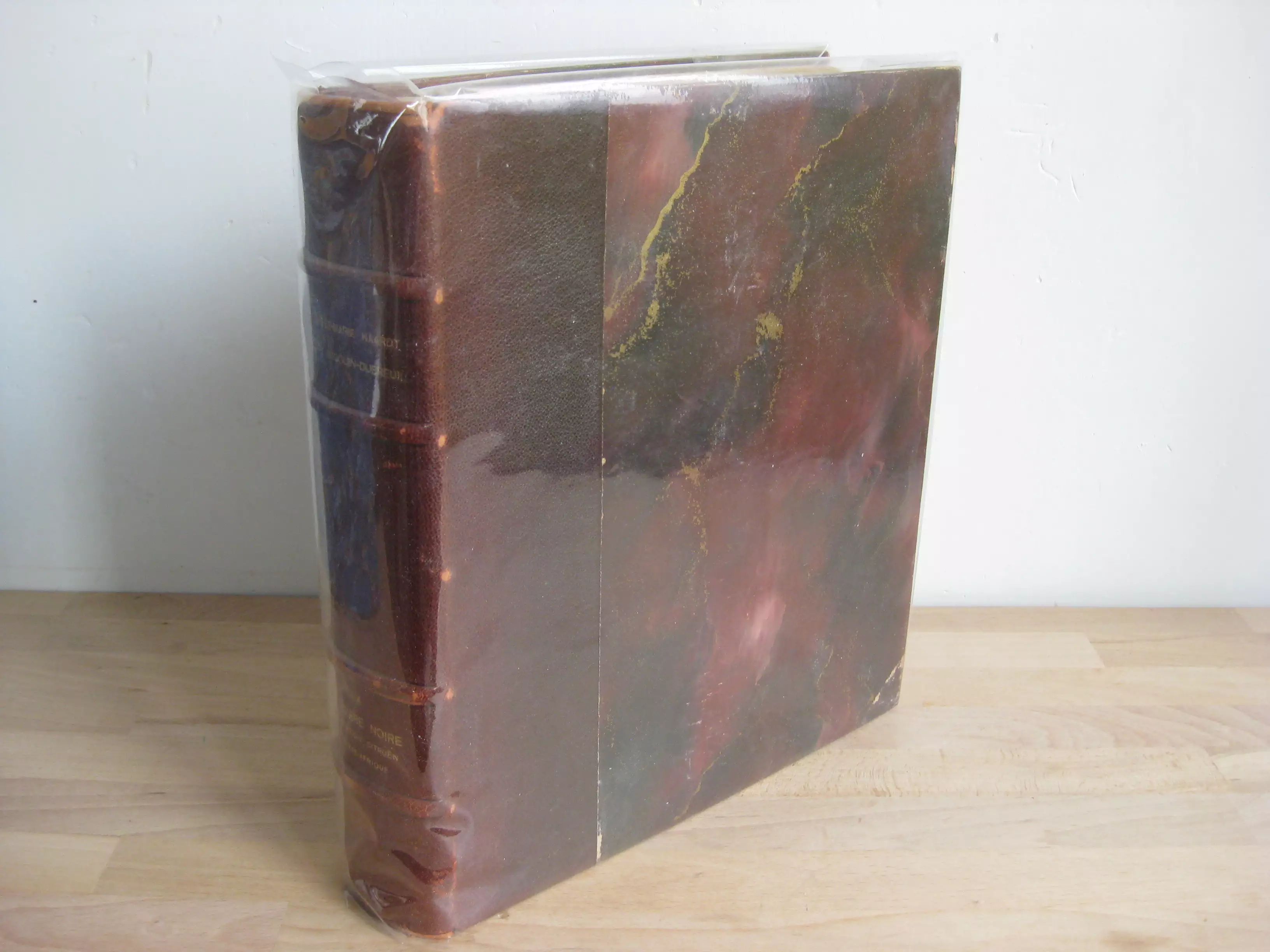 La croisière noire. Expédition Citroën Centre-Afrique