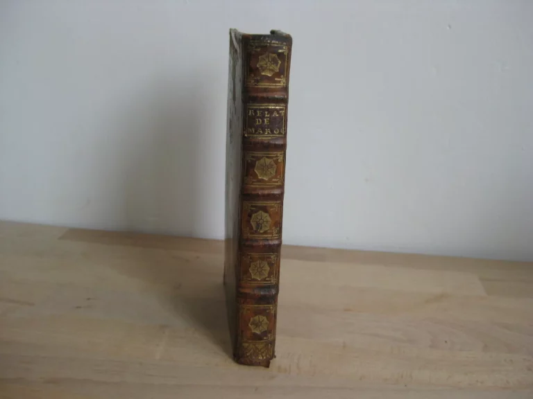 Relation de ce qui s'est passé dans le royaume du Maroc