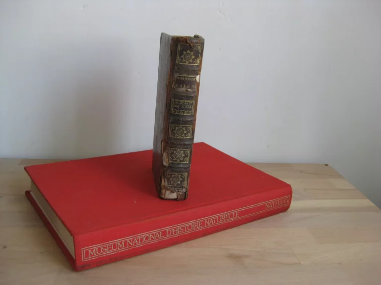 Histoire naturelle générale et particulière avec la description du cabinet du roi, tome 23