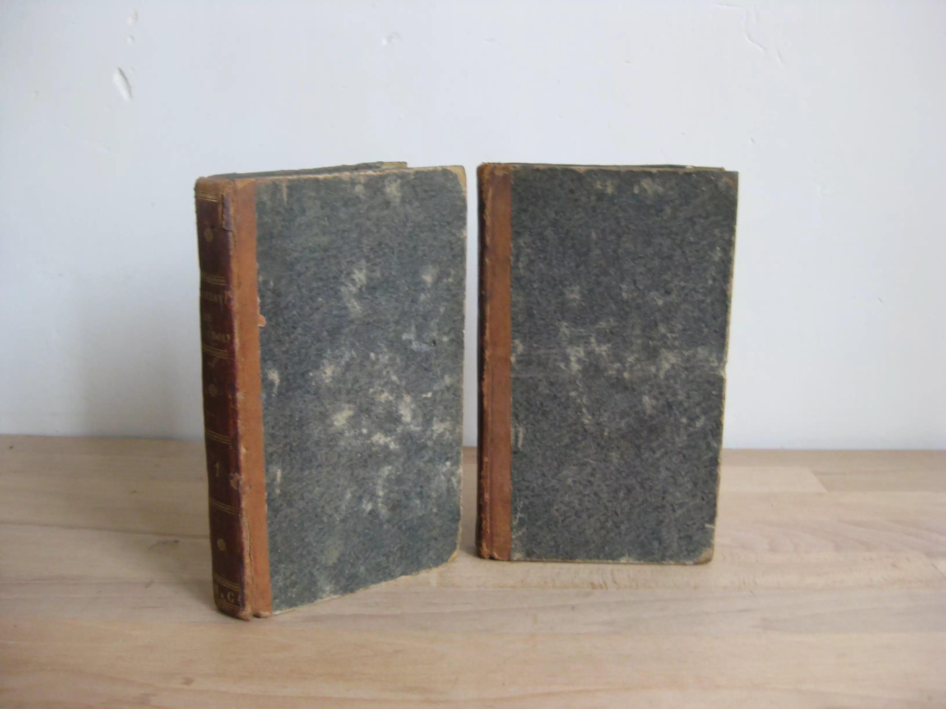 L’abbaye de Sainte-Croix, ou Radegonde, reine de France, tomes Ier et II